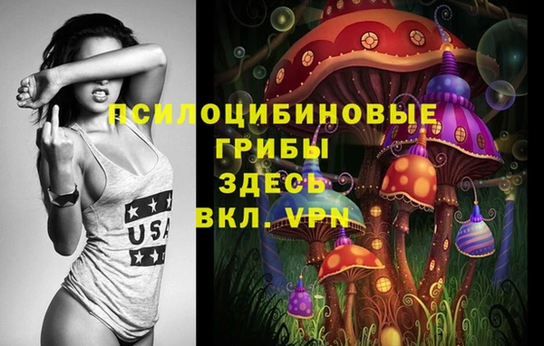 ALPHA PVP Алексеевка