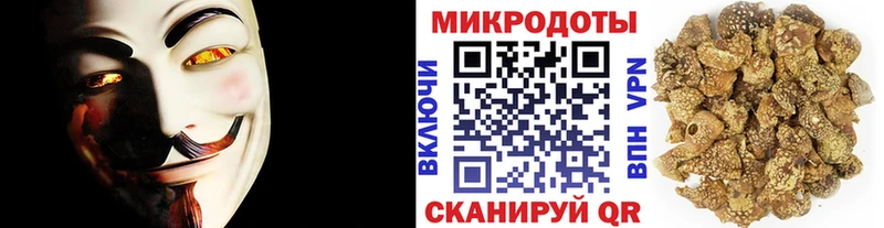 Галлюциногенные грибы Psilocybe Яровое