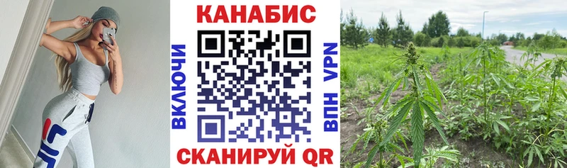 продажа наркотиков  Яровое  Бошки марихуана LSD WEED 